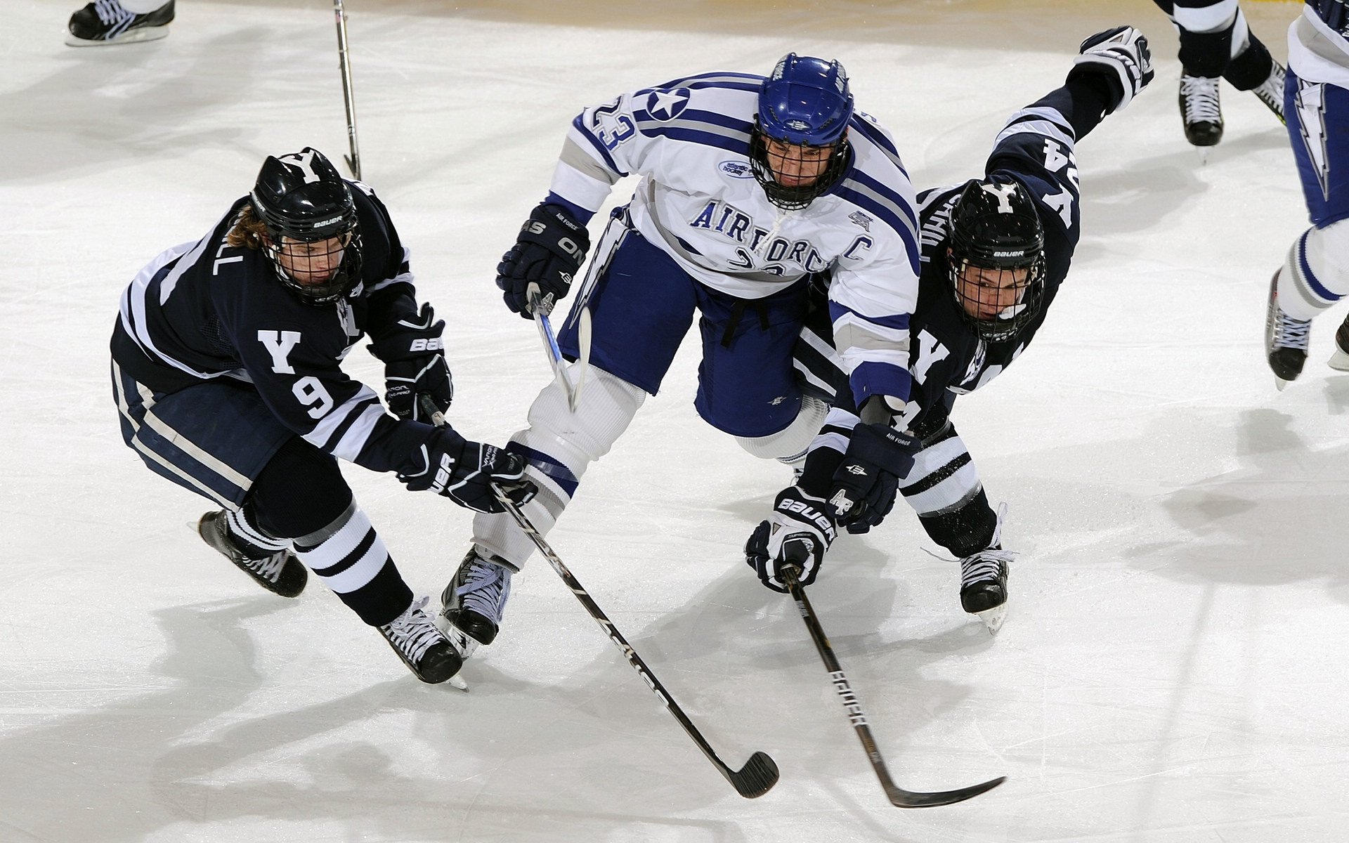 体育赛事观众服务提升,体育赛事服务流程