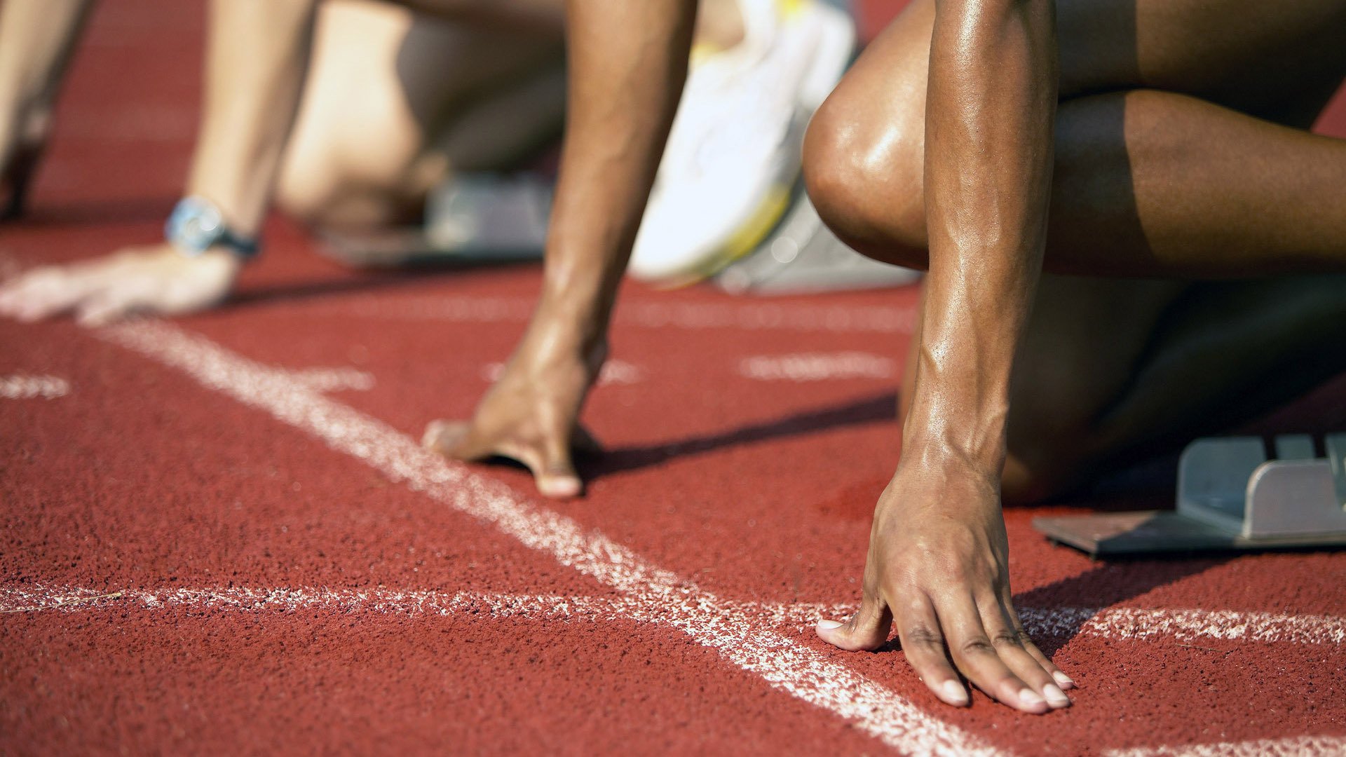 体育大数据论坛研讨青训可视化管理,体育大数据分析